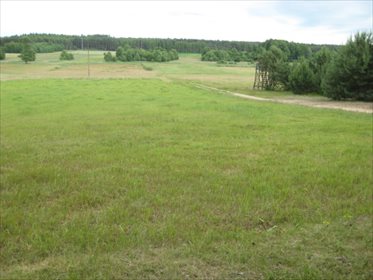 Działka budowlana na sprzedaż Ponikiew Wielka 15 200m2 Foto 1
