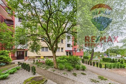 mieszkanie na sprzedaż 65m2 mieszkanie Tychy, Paprocany, Alfonsa Zgrzebnioka