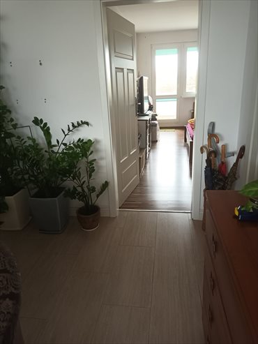 mieszkanie na sprzedaż 48m2 mieszkanie Elbląg, Zawada, Szarych Szeregów