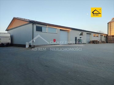 lokal użytkowy na wynajem 825m2 lokal użytkowy Kurów, Kurów