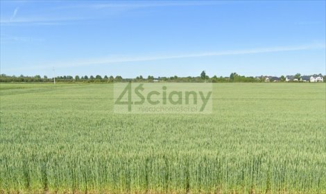 działka na sprzedaż 3000m2 działka Konstantów