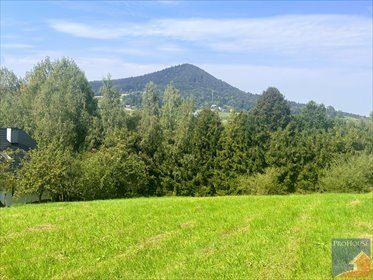 Do sprzedania działka 2000 m² z mediami i możliwością zabudowy działka Rupniów