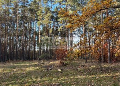 działka na sprzedaż 4000m2 działka Marynin