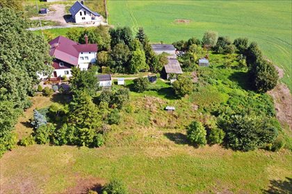 Działka rolna na sprzedaż Lipinka, Nowy Staw 1 800m2 Foto 7