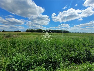 działka na sprzedaż 1100m2 działka Kruszyn Krajeński