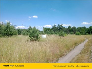 Działka rolna na sprzedaż Orzeszki, Rozogi 10 800m2 Foto 5