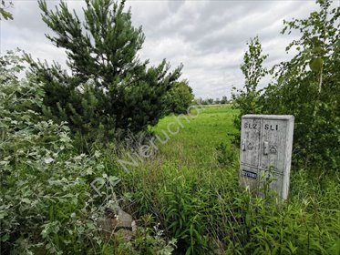 działka na sprzedaż 950m2 działka Falenty Nowe