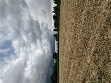 działka na sprzedaż 2500m2 działka Mników