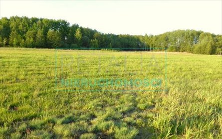 działka na sprzedaż 3601m2 działka Stare Budy