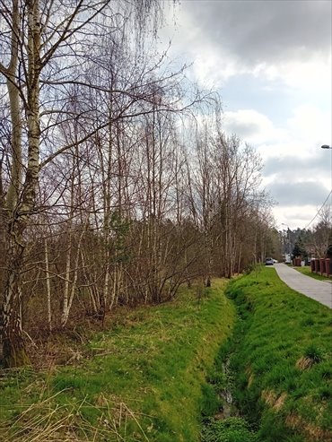 Działka budowlana na sprzedaż Tworóg Mały, Brzozowa 1 409m2 Foto 2