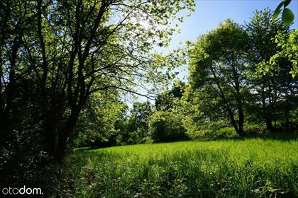 Działka rolna na sprzedaż Tomaszowice, ul. Podskalany 1 600m2 Foto 2