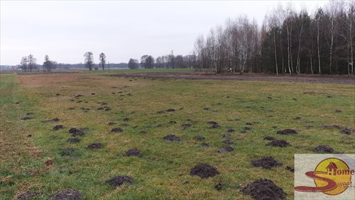 Działka 8600 m² z dostępem do mediów i lasem w Ostrownicy działka Ostrownica