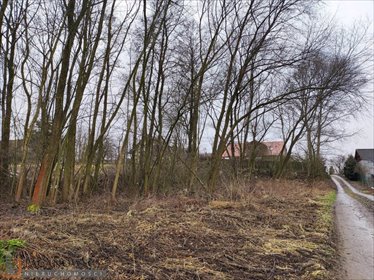 działka na sprzedaż 1568m2 działka Bibice