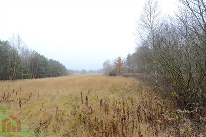 Działka inwestycyjna na sprzedaż Cierpisz 25 000m2 Foto 4