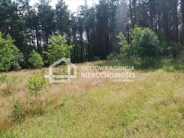 Działka rolna na sprzedaż Załęże 6 400m2 Foto 4