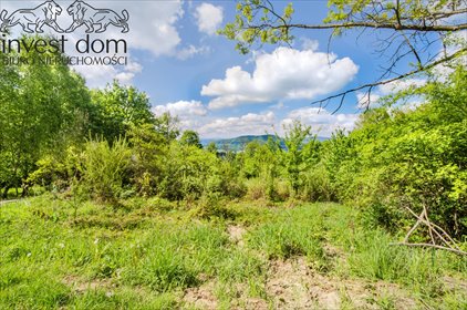 działka na sprzedaż 29852m2 działka Szymbark