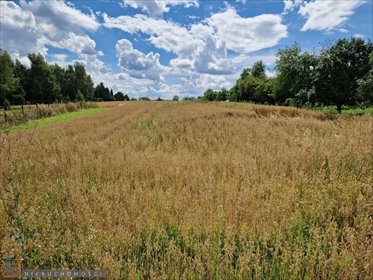 Działka budowlana 1097 m² w Kozierowie – spokojna okolica działka Kozierów