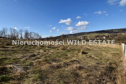 działka na sprzedaż 5533m2 działka Ustrzyki Dolne, Ustjanowa Górna
