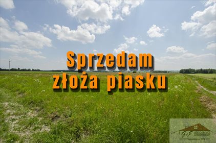 Działka przemysłowo-handlowa na sprzedaż Moszczanica 53 900m2 Foto 1