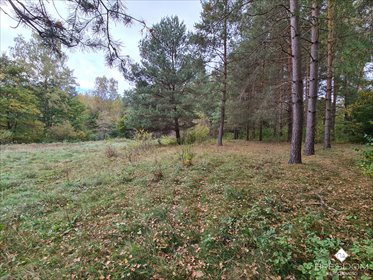 Działka rolna na sprzedaż Dywity 4 700m2 Foto 4