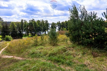 Działka budowlana na sprzedaż Zełwągi 4 648m2 Foto 3