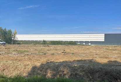działka na sprzedaż 3467m2 działka Siechnice, Rataja
