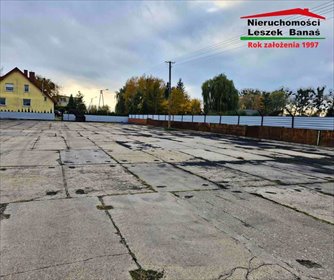 lokal użytkowy na wynajem 1500m2 lokal użytkowy Michale