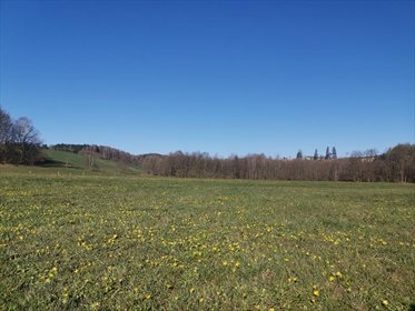 działka na sprzedaż 1004m2 działka Kielno-Leśno, Malinowa