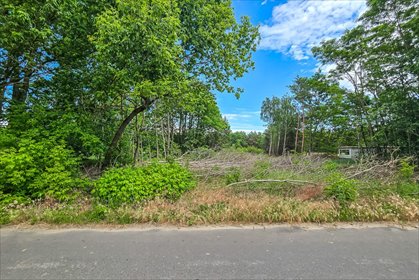 Zapraszam do zakupu działki 3116 m² z warunkami zabudowy działka Podłęże