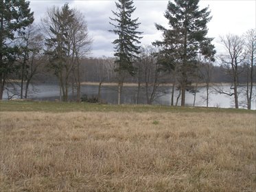 działka na sprzedaż 1500m2 działka Chłopowo