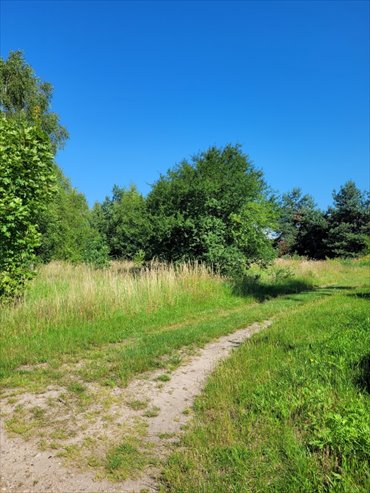 działka na sprzedaż 920m2 działka Bożepole Małe, Bożepole Małe, Zielna