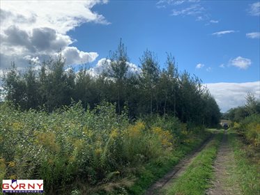 Działka inna na sprzedaż Zakrzów 676m2 Foto 4