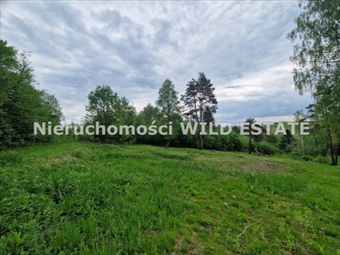 Działka w Bieszczadach z dostępem do mediów i potencjałem turystycznym działka Czarna, Olchowiec, Olchowiec