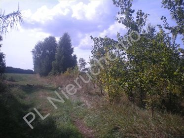 działka na sprzedaż 20000m2 działka Kiczki Drugie