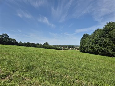 działka na sprzedaż 5944m2 działka Długie