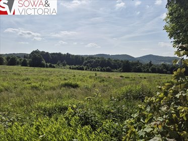 działka na sprzedaż 1426m2 działka Dziećmorowice, Nowy Julianów