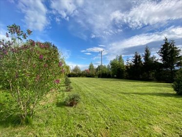 Działka 4004 m² w Tuszynie - inwestycja i potencjał zapraszam działka Tuszyn, Tuszyn