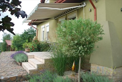 dom na wynajem 160m2 dom Gorzków