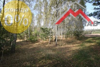 działka na sprzedaż 9200m2 działka Jeruzal, Miejscowość prezentowana w serialu