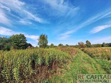 działka na sprzedaż 1000m2 działka Wojcieszyn