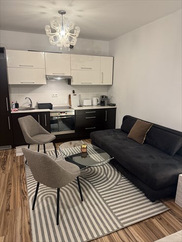 mieszkanie na wynajem 43m2 mieszkanie Łódz, Sienkiewicza