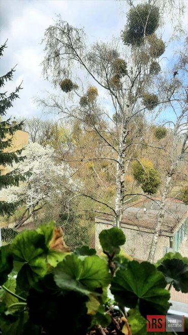 mieszkanie na sprzedaż 44m2 mieszkanie Warszawa, Bielany, Włodzimierza Perzyńskiego