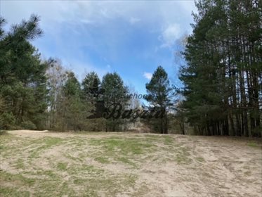 działka na sprzedaż 17710m2 działka Czarnów