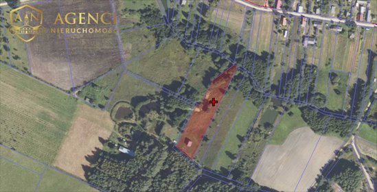 działka na sprzedaż 5100m2 działka Krynki