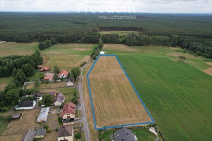 działka na sprzedaż 10344m2 działka Kotórz Mały