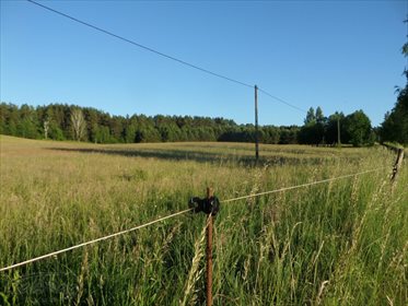 Działka rolna na sprzedaż Stare Kawkowo 3 206m2 Foto 7