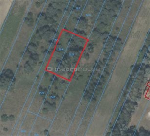 Działka z domem 128 m² - własny ogród i prywatność działka Podlesie Mleczkowskie