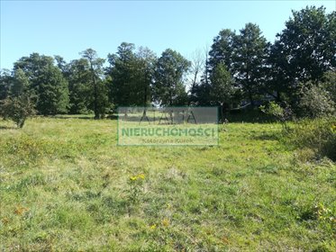 Do sprzedania działka 10 569 m² w Grodzisku Mazowieckim działka Grodzisk Mazowiecki