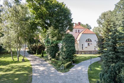 Lokal użytkowy na sprzedaż Chaławy 1 000m2 Foto 7