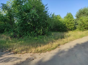 działka na sprzedaż 2000m2 działka Cieksyn